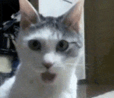 ������������̨���˵� 512GB �ֻ���һ�㶼����