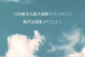 有些人为什么喜欢养宠物？因为养猫养狗好过养情人图片