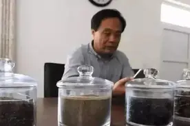 李延荣：变害为宝，养蟑螂成为百亿富豪图片