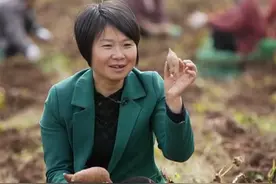 四川村妇种红薯，竟意外发现商机，猪都不吃的红薯梗被她卖出天价图片