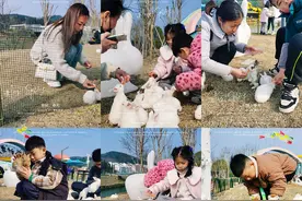 千余只可爱萌兔空降梅岭！ 春去梅岭起踏青好时光，快乐兔MUCH！图片