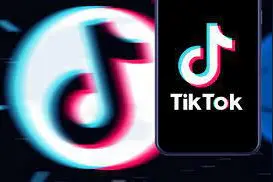 法国参议院TikTok调查报告出炉图片