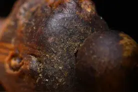 奇楠沉香的六大类香韵特点分享篇图片
