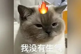 大热天就该自己做雪糕吃，一拌搞定，秒杀超市货图片