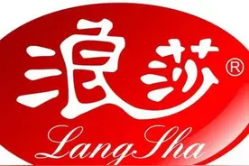 浪莎股份借壳上市的疯狂往事图片