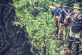 非洲原始森林探险图片