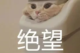 香港话≠广东话！广东人在香港，一秒钟就被发现了图片