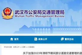 单向通行、机动车禁行……清明期间交通管制信息来了图片