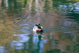 江苏各市2021年财政收入：苏州、徐州突破，宿迁创三项最高图片