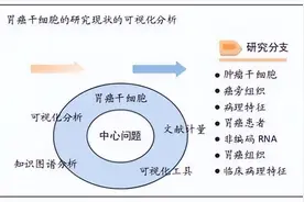 胃癌干细胞研究的文献计量学和可视化分析图片