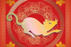 十二生肖性格说—生肖鼠图片