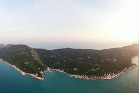饭点，每一只猴都在等他……图片