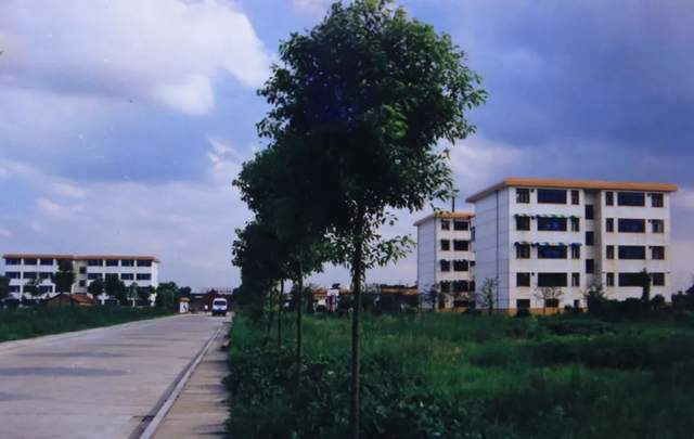 柳叶湖建区30周年回眸｜从绿水青山到金山银山的蝶变之路(图3)