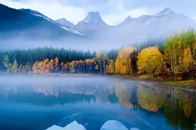 不管谁向你借钱，这么回答你就赢了，既聪明又高情商图片