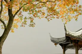 十首最美送别唐诗，世上唯有别离苦，此事不关风和月图片