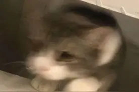 若预算1000左右，建议换以下4款最强千元机，用个五六年不是问题图片