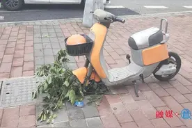 危险！共享单车+树枝竟成贵阳这个地铁口的“遮羞CP"图片