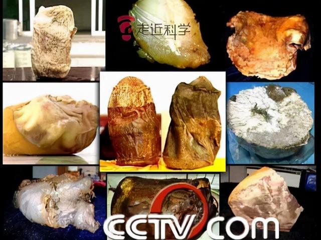 形成于4万年前、不是植物不是肉，价值千万的太岁究竟什么来头？