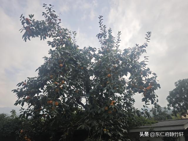 相约陕西省西安市鄠邑区蒋村街道白龙村甘河东岸一念等某人民宿
