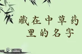 好听的中草药名字，拿来做小说人物的名字吧！图片