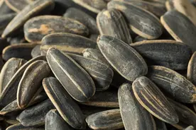 每个爱“嗑”瓜子的人，血压、血管、皮肤都在受益图片