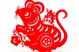 生肖鼠有哪些优点和缺点图片