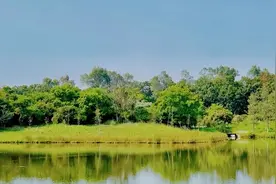 打开漳州这座山海之城的秋日，与初秋说“嗨”图片