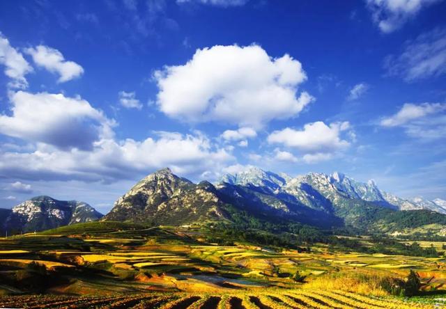 “龙”游诸城，诸事皆成