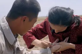 《平凡的世界》孙少安相亲，热闹如小品笑喷，万年一遇贺秀莲图片