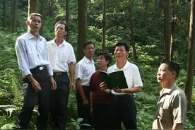 你不知道的永安㉓丨中国林改小岗村：洪田村图片