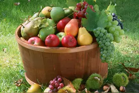 请停止食用这4种水果，医生见了或会“绕弯”走，别吃错了图片