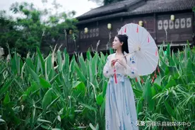 150句诗词接龙，一口气读完，太爽了！图片