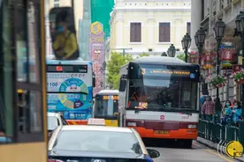 保障必要出行｜30条特别巴士路线下周有限度运作图片