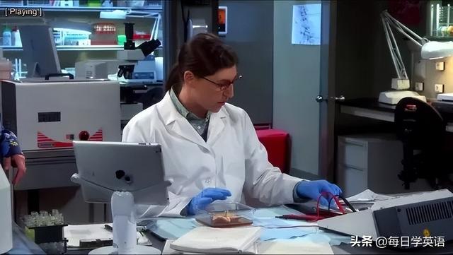 电脑的英文单词