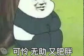 表情包:可怜，无助，又肥胖图片