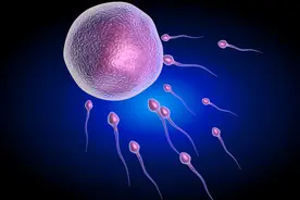 科学家发现：女性卵子对某些人的精子更偏爱，甚至为其“开后门”图片