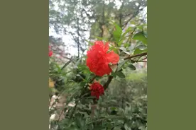 端午节不能干的事？图片