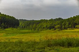 1994年贵州空中快车事件：真相究竟是什么？图片