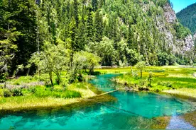 九寨沟树影山光倾泻，碧波揽尽一朝繁华图片