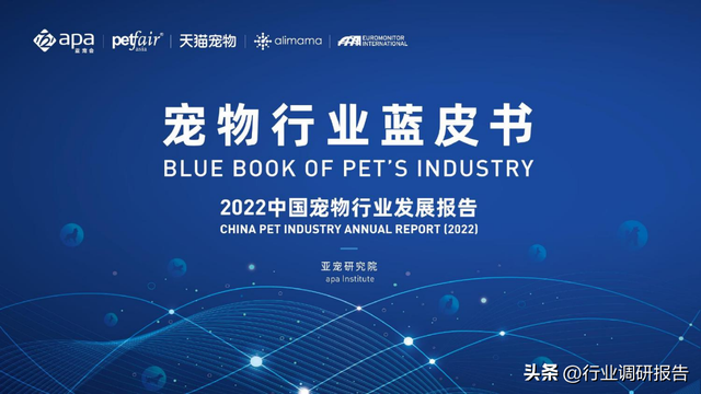 2022���й�������ҵ��չ���棨�����ߡ������ŵꡢ�г�����