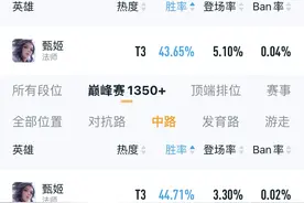 300斤的甄姬见过吗？坦克甄姬才是唯一答案！图片