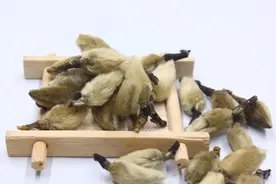 咳嗽停不下来，咽喉似有浆糊黏着，忽略了这种疾病，怪不得治不好图片