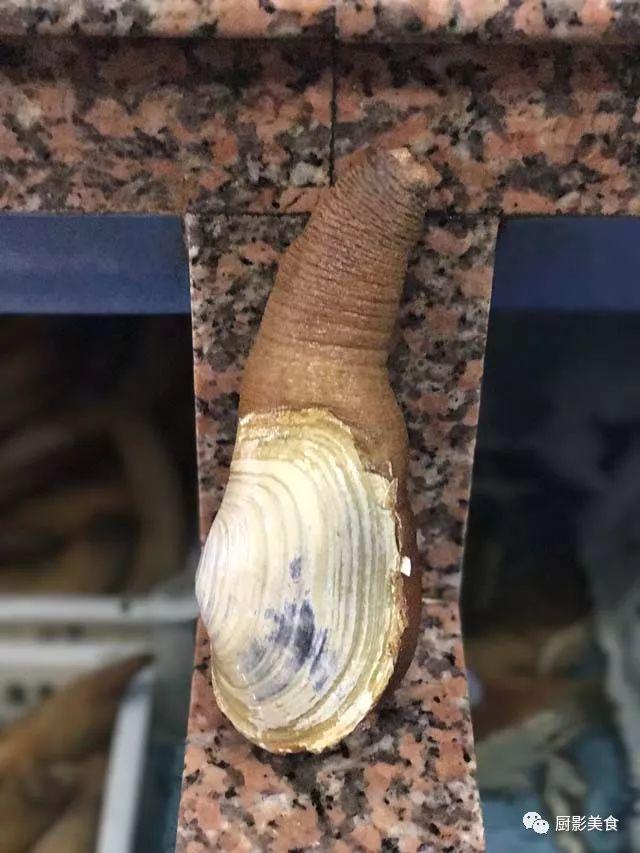 40头的花胶是几级 2025年花胶40头是什么意思?