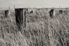 民间故事：村民挖鱼塘，老汉跑过来阻止，他说土地下面不干净图片