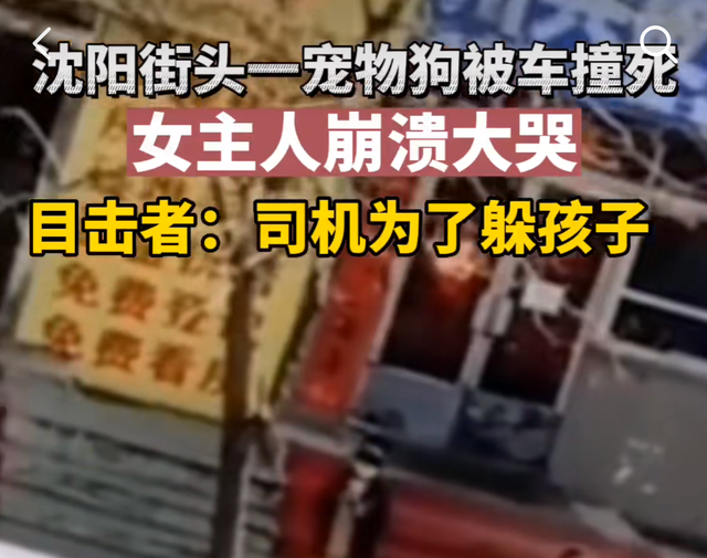 “火线妹”为不当评论道歉：我确实欠骂！粉丝从1000万降到900万