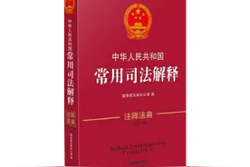 司法解释法律效力研究：法源理论、运行困境与完善路径图片