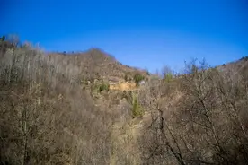 寻访秦岭黄柏岔，遇一石洞，都说秦岭多古墓，难不成还真碰到了？图片