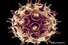 人体第20号染色体上，有女娲留下的禁令，为了防止人类互相杀害图片