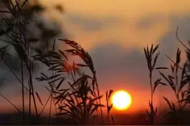 佛教中的「涅槃」究竟是什么意思图片