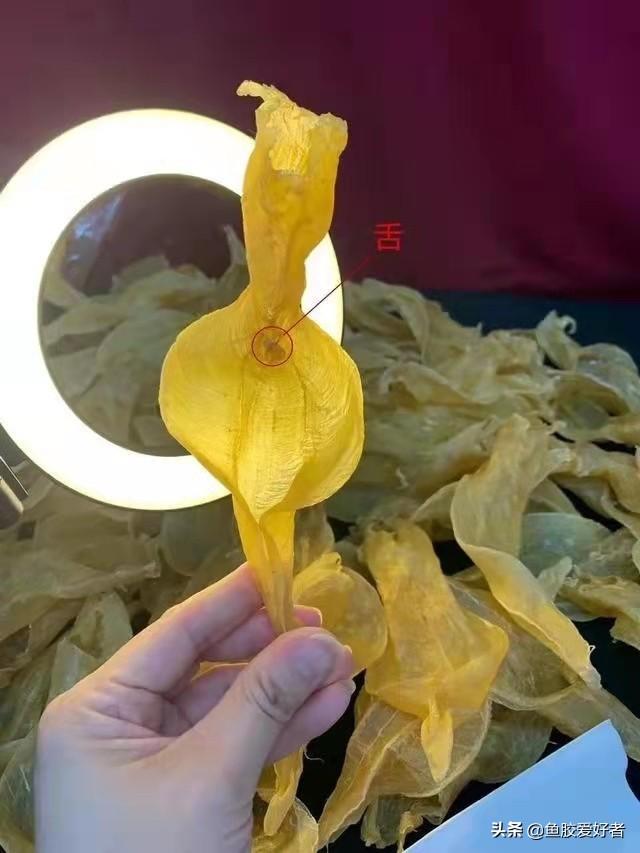 白花胶和花胶一样吗 白花胶和花胶一样吗能吃吗